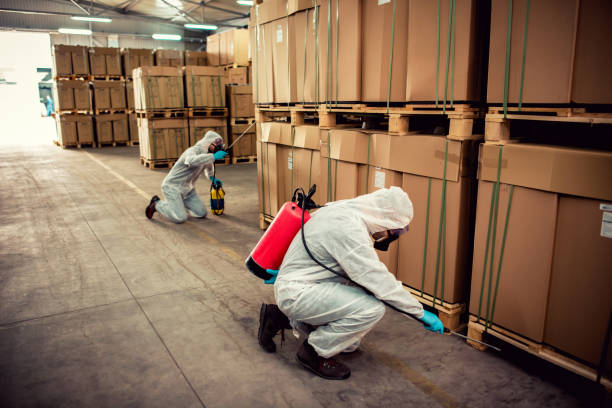 Best Pest Control Near Me  in Canton, GA