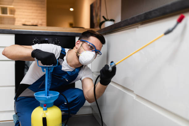 Best Best Pest Control Near Me  in Canton, GA
