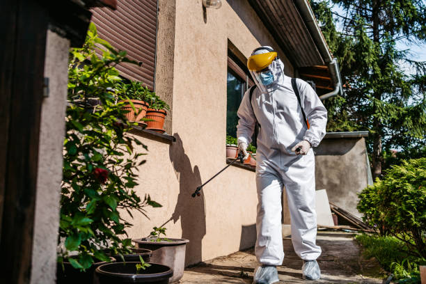 Best Local Pest Control Services  in Canton, GA