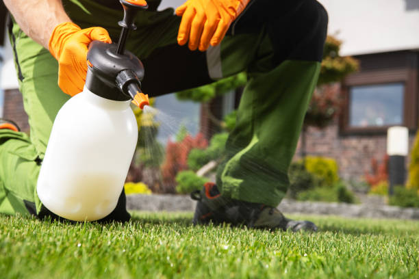 Wildlife Control Services in Canton, GA