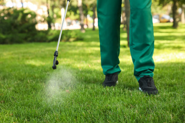Pest Control Cost in Canton, GA