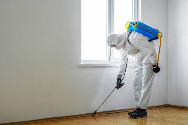 Best Bed Bug Extermination  in Canton, GA