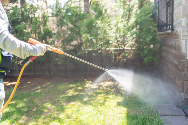 Best Wasp Removal Services  in Canton, GA