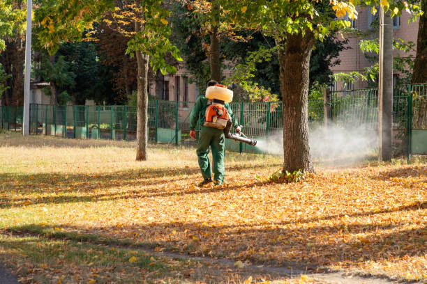 Best Best Pest Control Companies  in Canton, GA