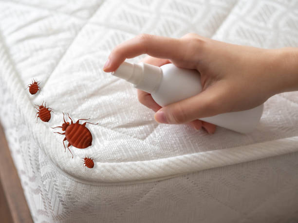 Best Flea Control Services  in Canton, GA