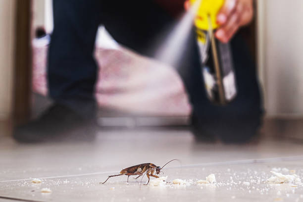 Best Wildlife Control Services  in Canton, GA