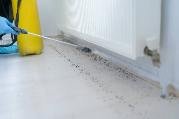 Best Commercial Pest Control Services  in Canton, GA