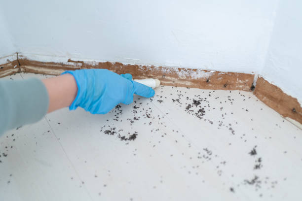 Pest Prevention Services in Canton, GA