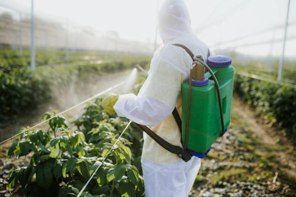 Best Pest Inspection Near Me  in Canton, GA